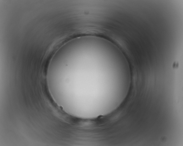 X0000114670407200910211013