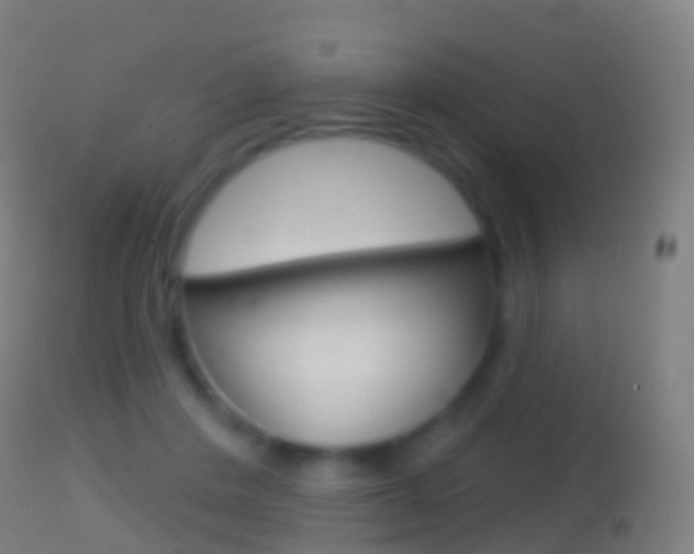 X0000114670408200910211013