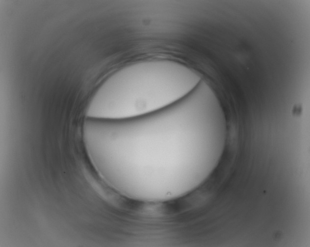 X0000114670410200910211013