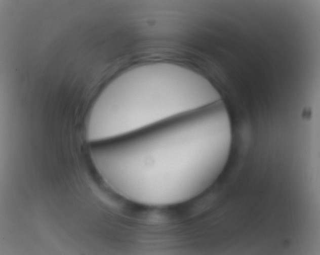 X0000114670412200910211013