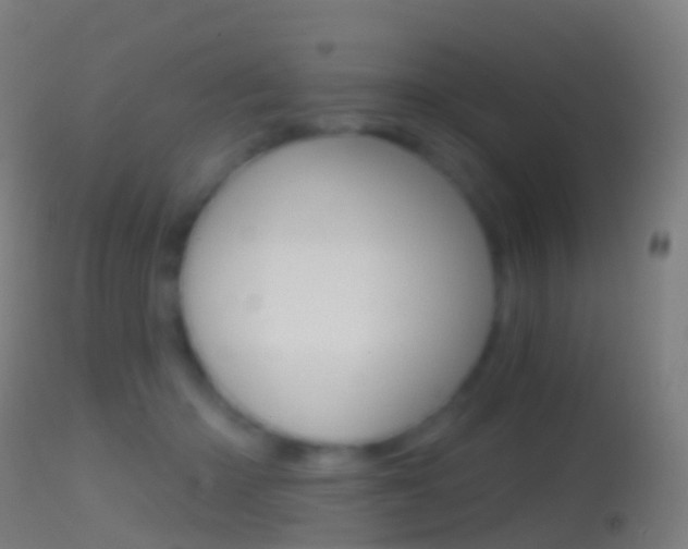 X0000114670414200910211013