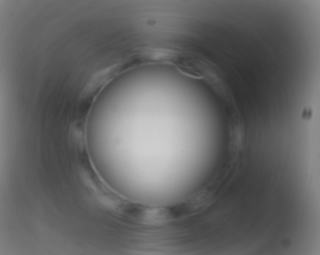 X0000114670415200910211013