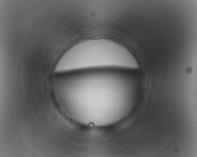 X0000114670416200910211013