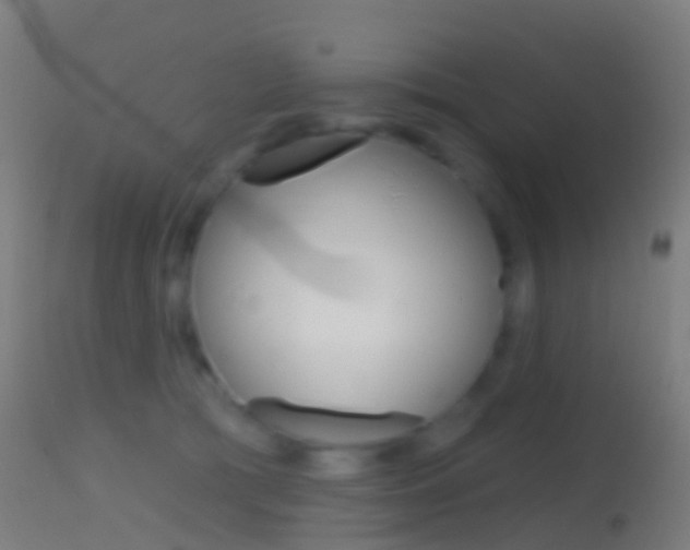 X0000114670417200910211013