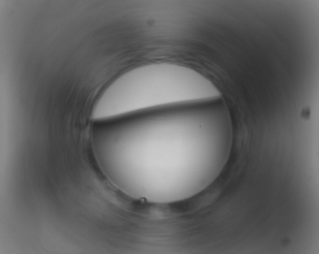 X0000114670420200910211013