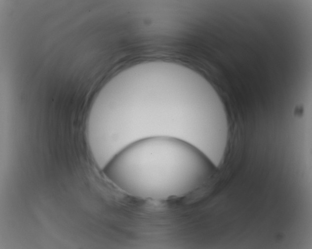 X0000114670421200910211013