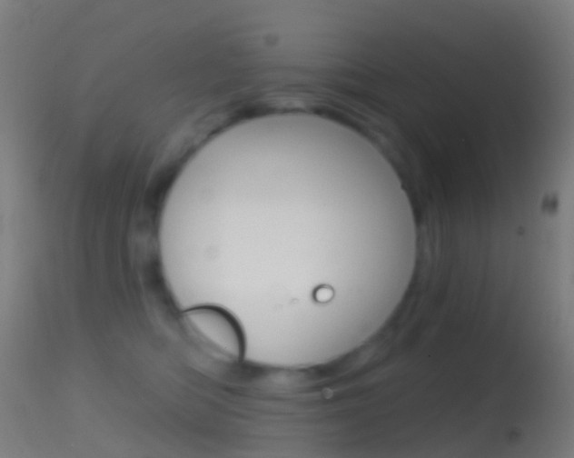 X0000114670422200910211013