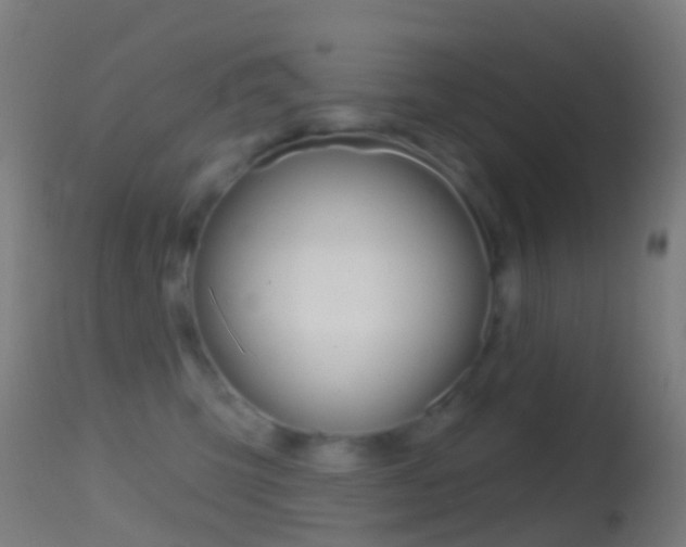 X0000114670423200910211013