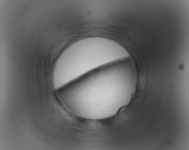 X0000114670424200910211013