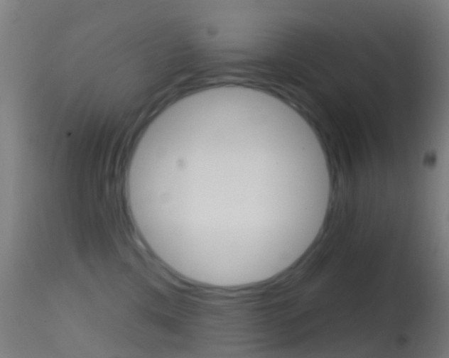 X0000114670425200910211013