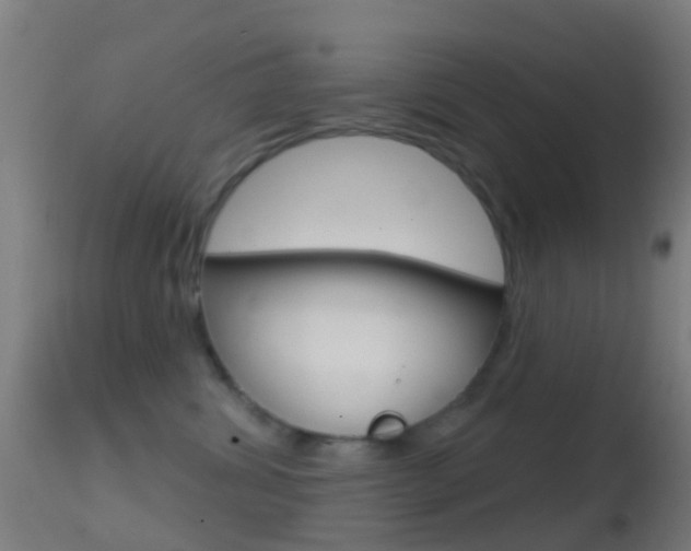 X0000114670428200910211013
