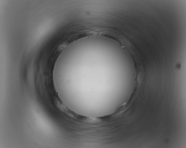 X0000114670429200910211013