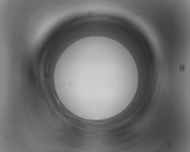 X0000114670431200910211013