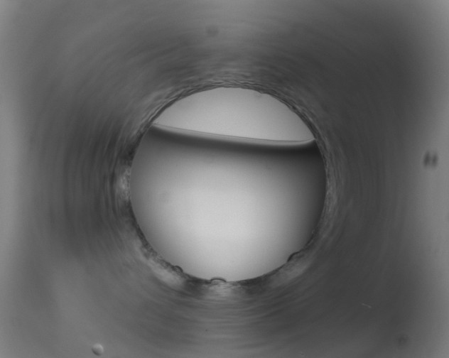 X0000114670432200910211013