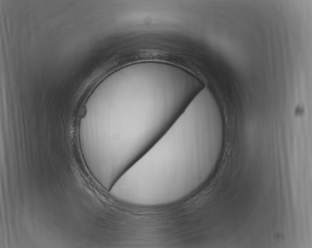 X0000114670435200910211012