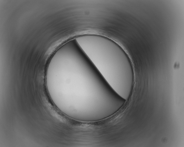 X0000114670437200910211012
