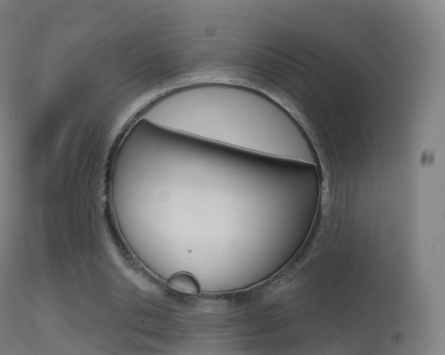 X0000114670438200910211012