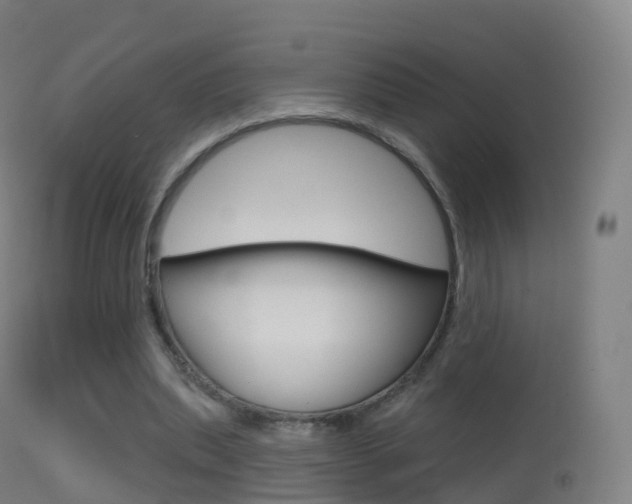 X0000114670439200910211012