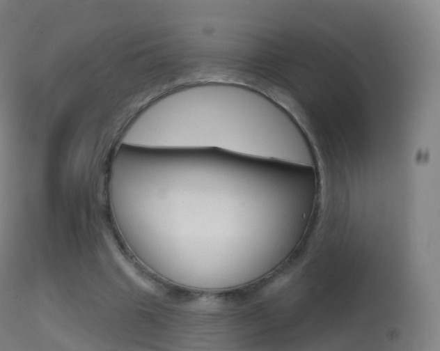 X0000114670441200910211012
