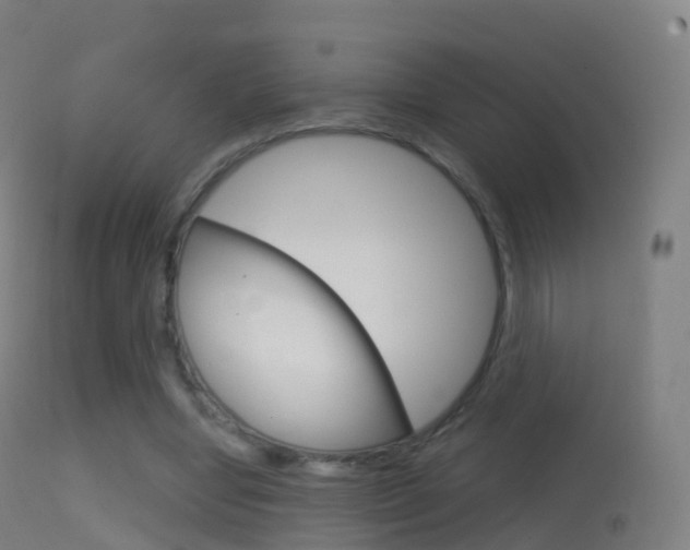 X0000114670442200910211012