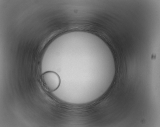 X0000114670444200910211012