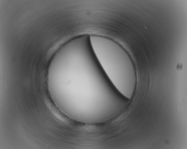 X0000114670445200910211012