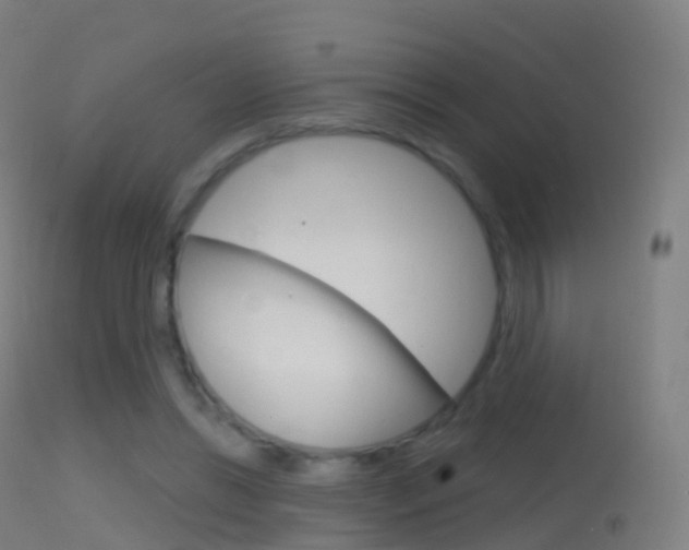X0000114670446200910211012