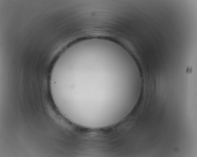 X0000114670447200910211012