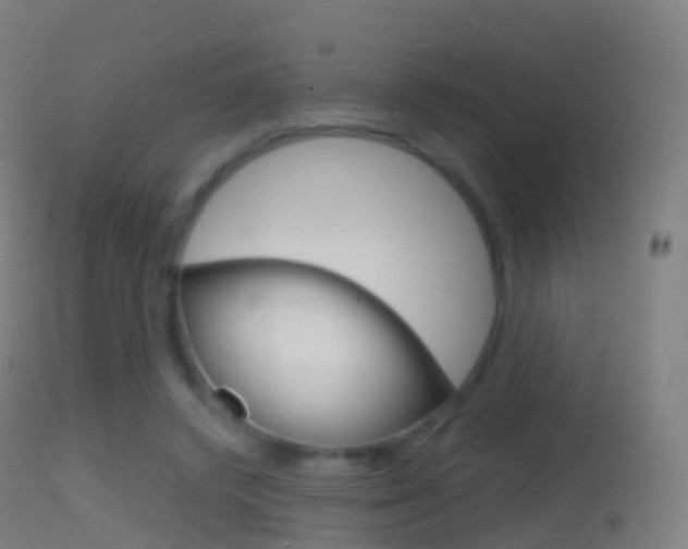 X0000114670448200910211012