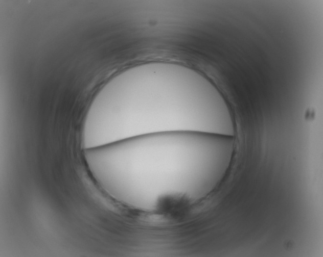 X0000114670449200910211012