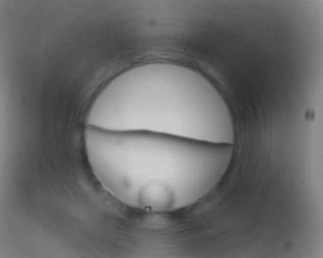 X0000114670451200910211013