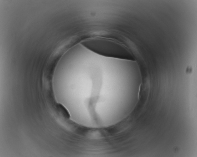 X0000114670452200910211013