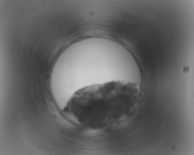 X0000114670453200910211013