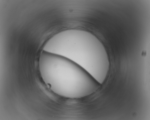 X0000114670454200910211013