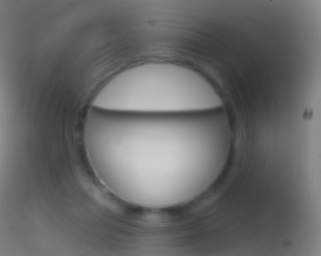 X0000114670455200910211013