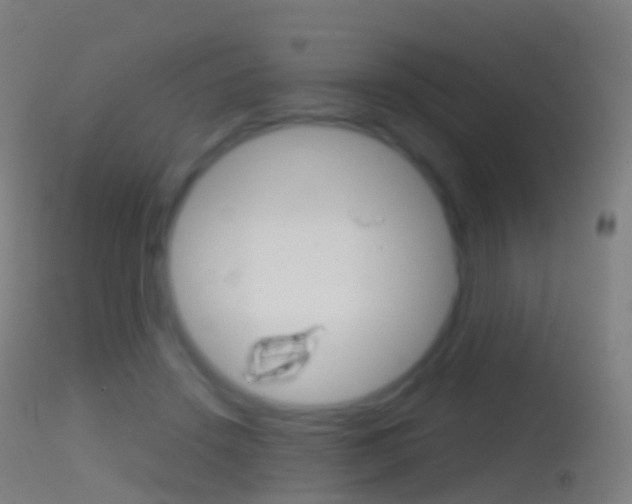 X0000114670456200910211013