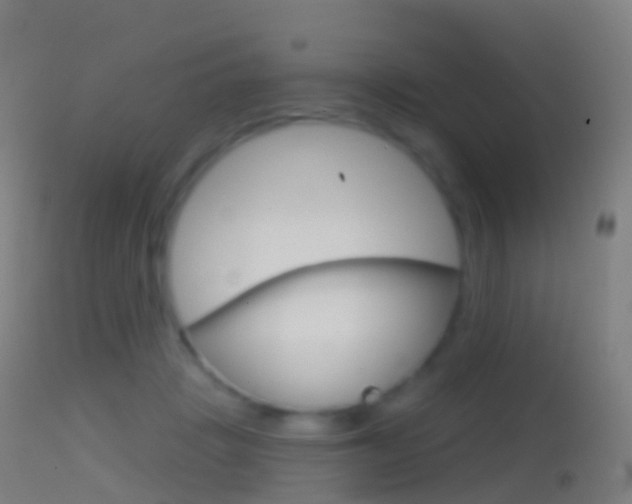 X0000114670457200910211013