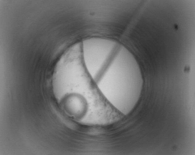X0000114670458200910211013