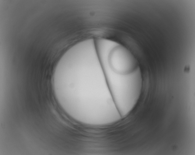 X0000114670459200910211013