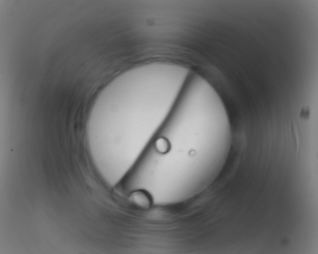 X0000114670460200910211013