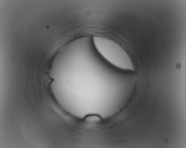 X0000114670462200910211013