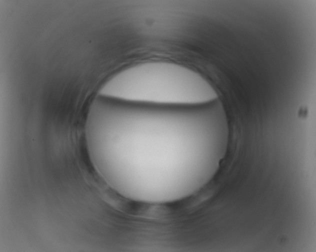 X0000114670463200910211013