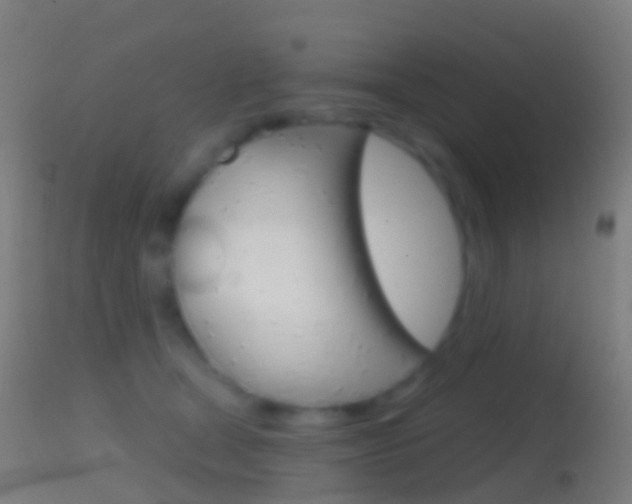 X0000114670465200910211013