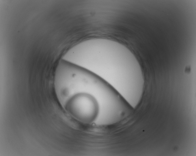 X0000114670466200910211013