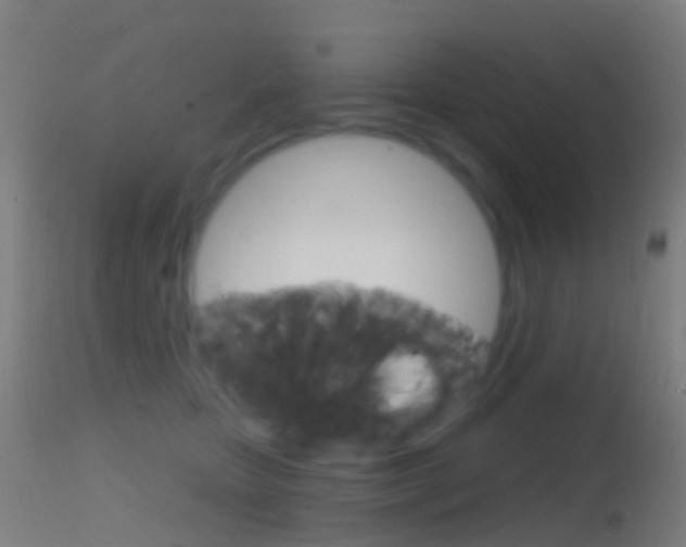 X0000114670467200910211013