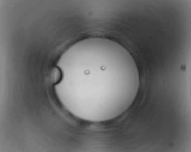 X0000114670468200910211013
