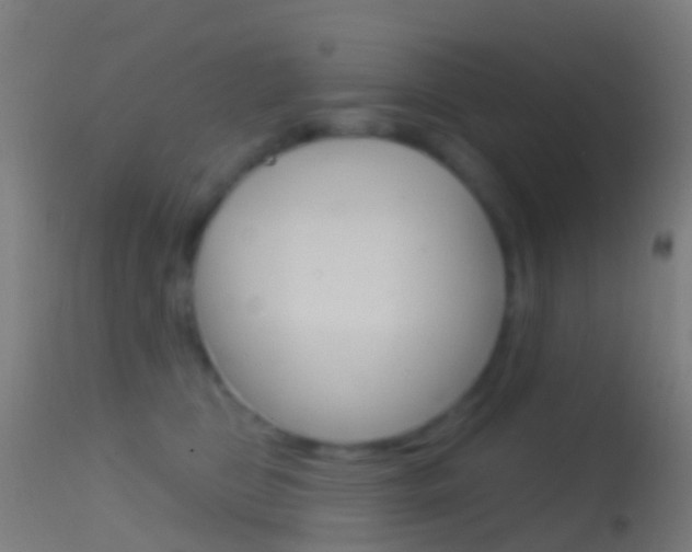 X0000114670469200910211013