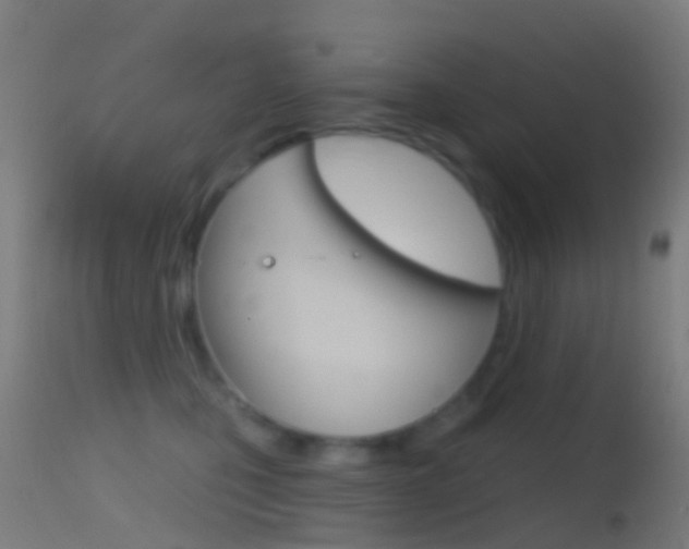 X0000114670471200910211013