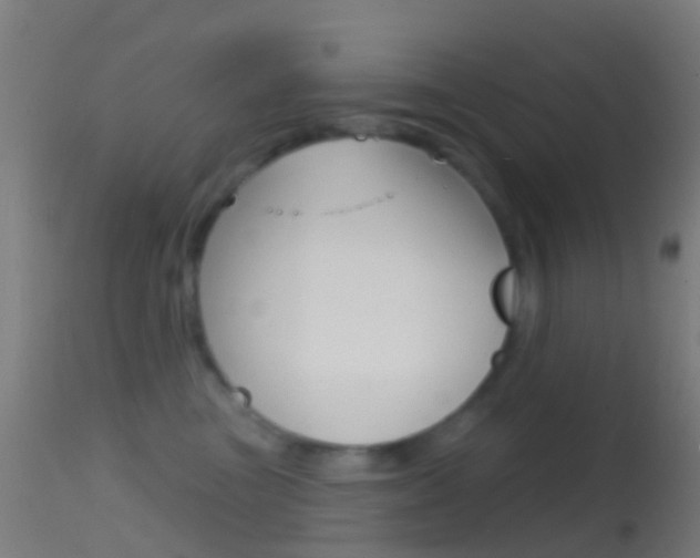 X0000114670473200910211013
