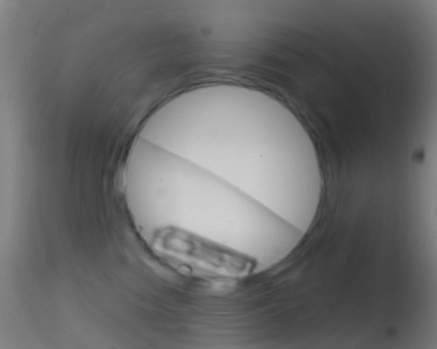 X0000114670474200910211013